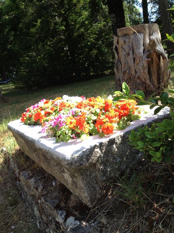 Grand Hotel Vallombrosa Saltino Dış mekan fotoğraf